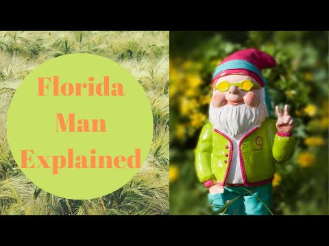 why-florida-has-the-craziest-news-stories-(florida-man-meme)-|-govt.-policy