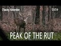 Chasing November S1E14 | Peak of the Rut