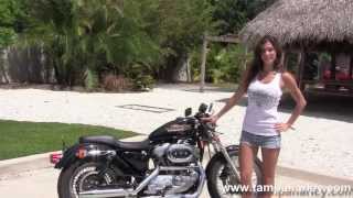 Research 2001
                  Harley Davidson XL 883 / Sportster 883 pictures, prices and reviews