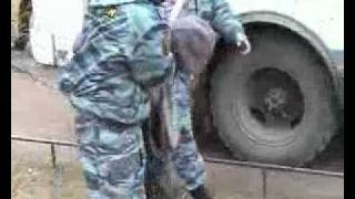 ОМОН на Dream Flash 2010 Санкт-Петербург