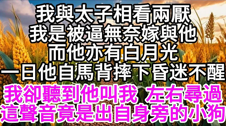 我与太子相看两厌，我是被逼无奈嫁与他，而他亦有白月光，一日 他自马背摔下昏迷不醒，我却听到他叫我 左右寻过，这声音竟是出自身旁的小狗 【美好人生】 - 天天要闻