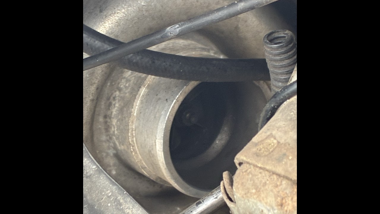 playing coconut simulator 1 and 2