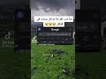 اصحاب تعز اصحاب تعز