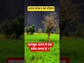 मानसूनी वर्षा /मौसम आया बादल छाए #mansoon #shorts #rain #viral