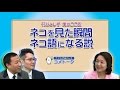 ［ナイツ対談①］竹谷とし子「ネコを見た瞬間ネコ語になる」説