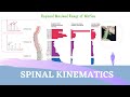 SPINE KINESIOLOGY ANIMATION | Factors Influencing Spinal Mobility