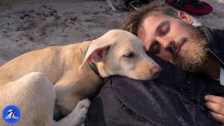 Download Lagu They Didn’t Want a Dog, Until They Adopted the Puppy Who Chose Them MP3