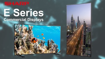 Large E Series Large Format Displays