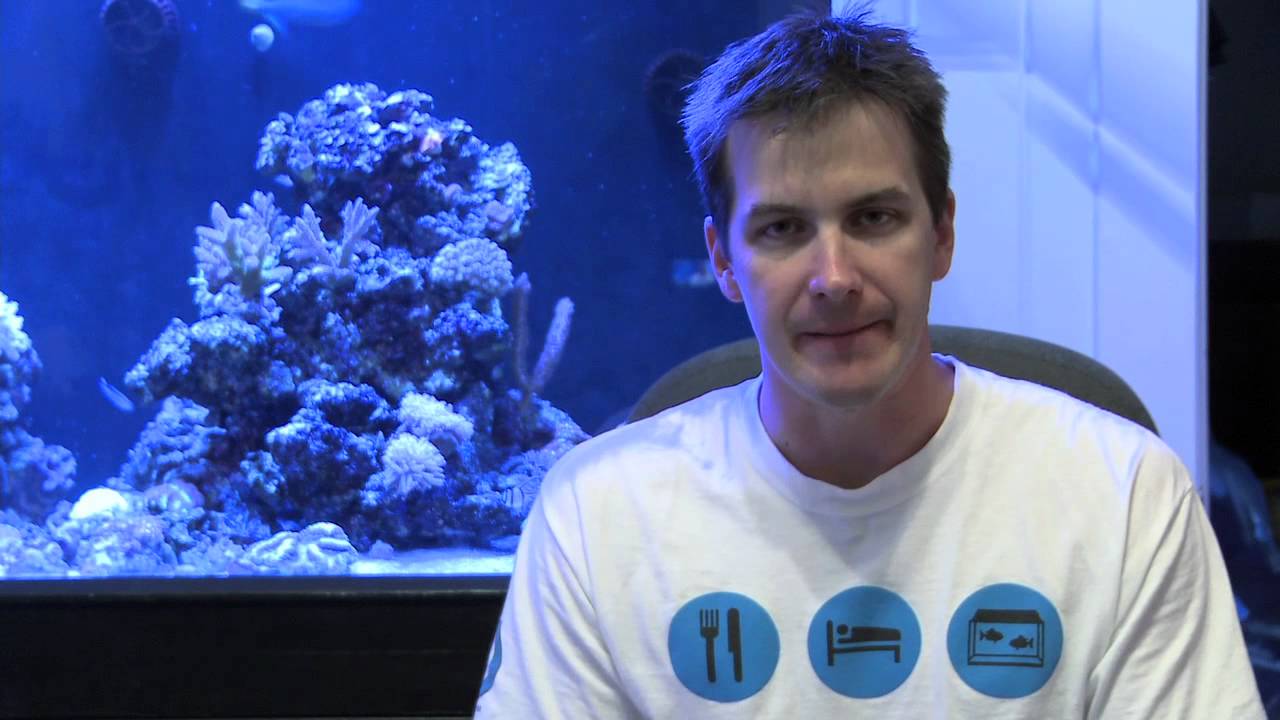 saltwater sushi & burger It's Not Brick and Mortar, But It Will Help You With Your Tank