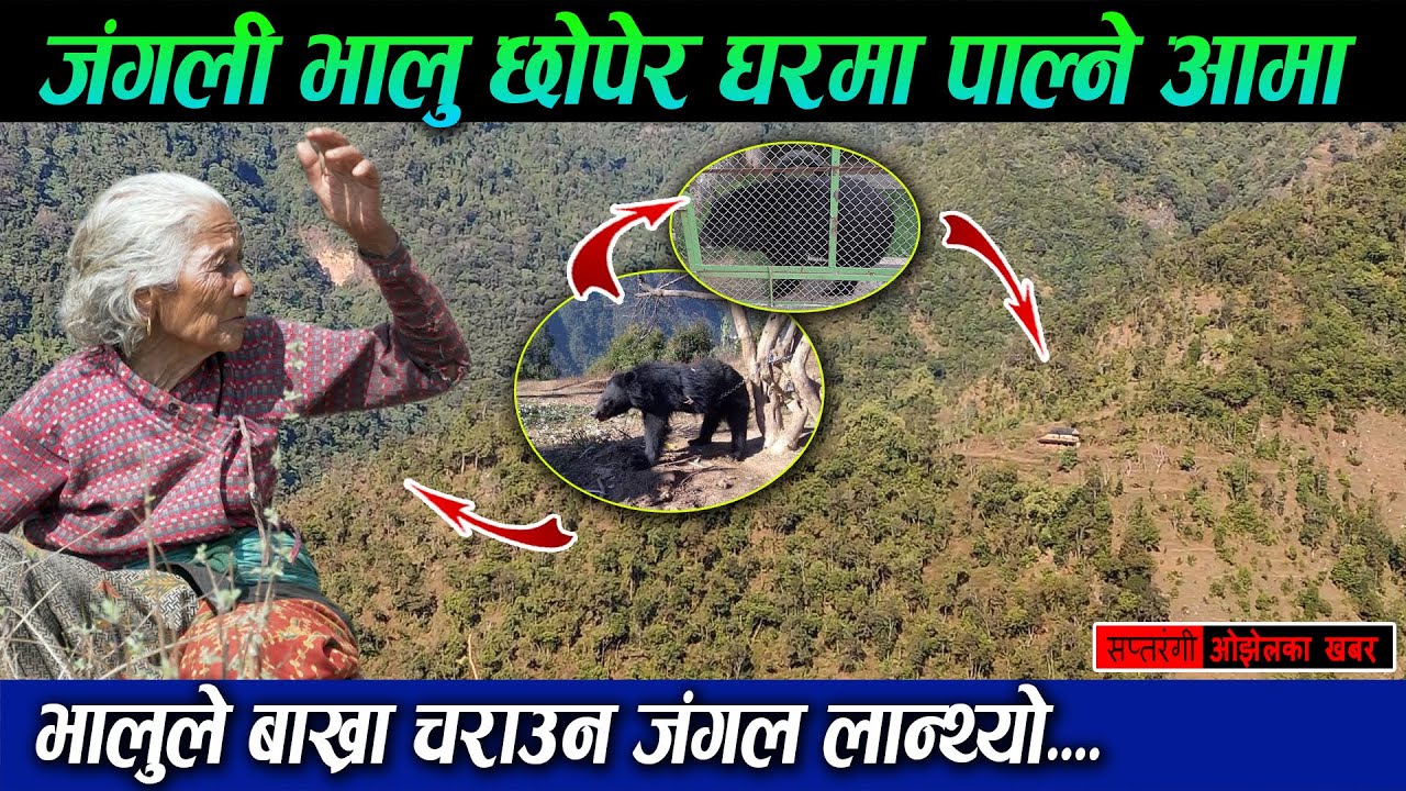 जंगलको बीचमा भालु पाल्ने आमाको कथा, म २१ वर्ष पुग्दा बिहान छोरा बेलुकी श्रीमान बिते