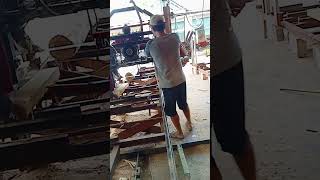 viral !!!!keganasan Adhikarya sawmill melibas kayu jati ... info dan pesan hub 0882007899689