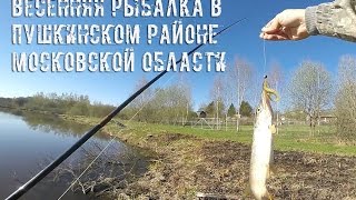 Весенняя рыбалка в Пушкинском районе