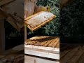 Essential Beekeeping Equipment for Beginners