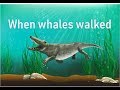 Whale Evolution and Eocene Ecosystems: A Journey Through Time