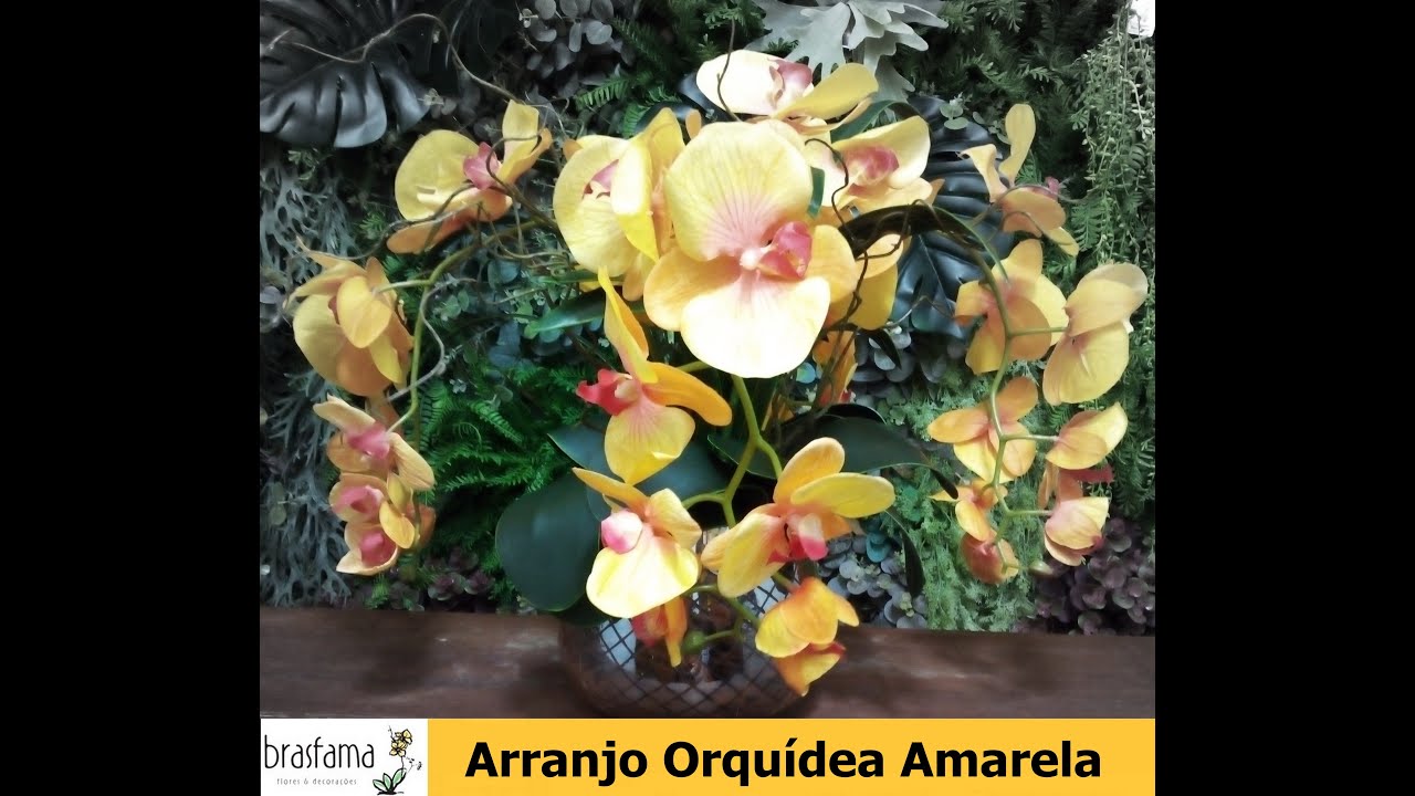 Arranjo de Orquídeas Amarelas - thptnganamst.edu.vn
