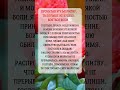 🎁 Нажми, чтобы получить добрую весть👈