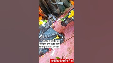 कार्तिक के महीने में एक चावल का दाना बदल देगा आपकी दसा#pradeepmishra #shorts #shivmahapuran