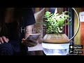 【防疫宅在家 植栽好療癒】ARKY 香草與魚X智能版Herb&Fish X Connect ‧ 魚草共生 寓教於樂 product youtube thumbnail