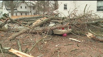 Strong winds take down power lines; Tree hits cars and house in Niles