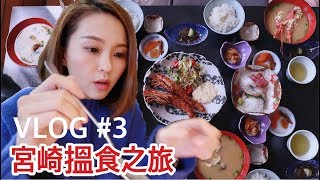 Vlog #3 日本九州自駕遊：宮崎平民溫泉酒店和海鮮餐| 為什麼找 ...