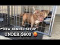 New kennel setup cheap for under 600 for american bully breeders
