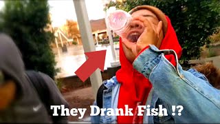 DRINKING LIVE FISH #FTB DRINKING LIVE FISH #FTB