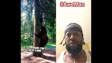 Climb a tree? #aweman #bear #wildlife #animals #nature