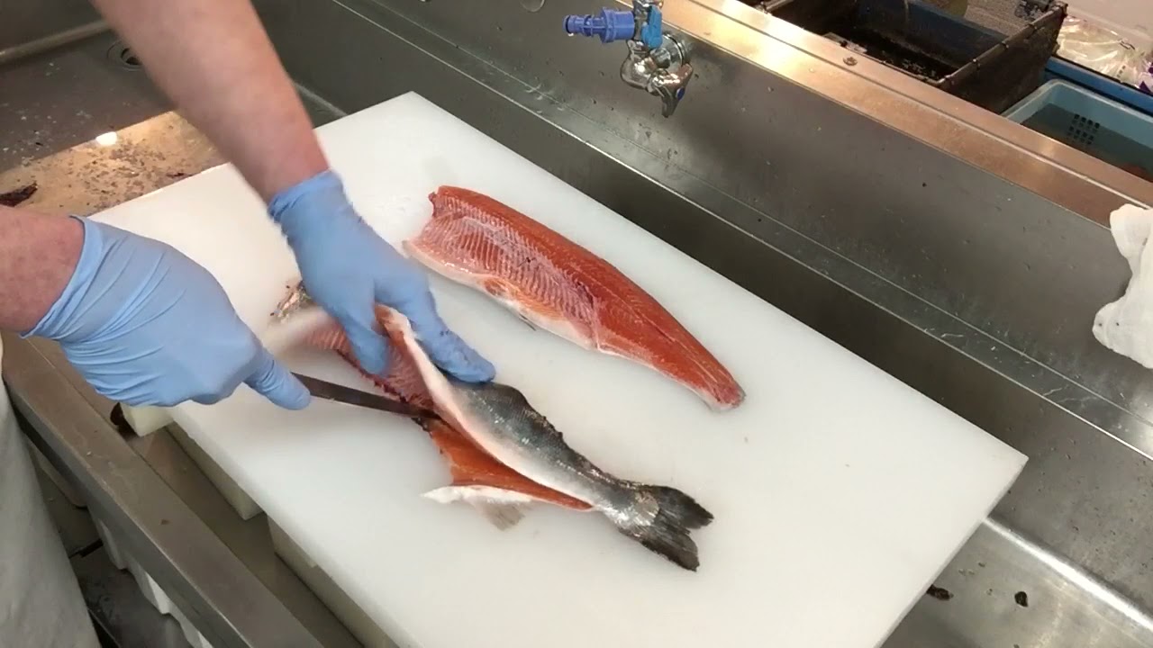 境港サーモン(銀鮭)の捌き方