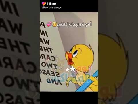اذا حبك يصير الموت اموت ب ايدك ادفني