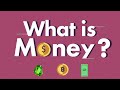 Understanding the Evolution and Impact of Money