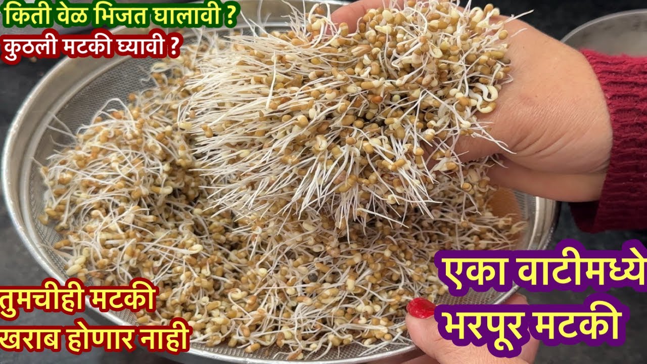 लांबसडक मटकीला मोड कसे आणायचे तेही घरच्या घरीच |