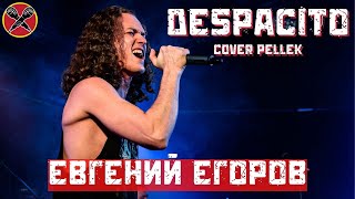 #ЕвгенийЕгоров | DESPACITO НА РУССКОМ ЯЗЫКЕ | Metal Cover by PelleK | #LadiesParty 08.03.2022