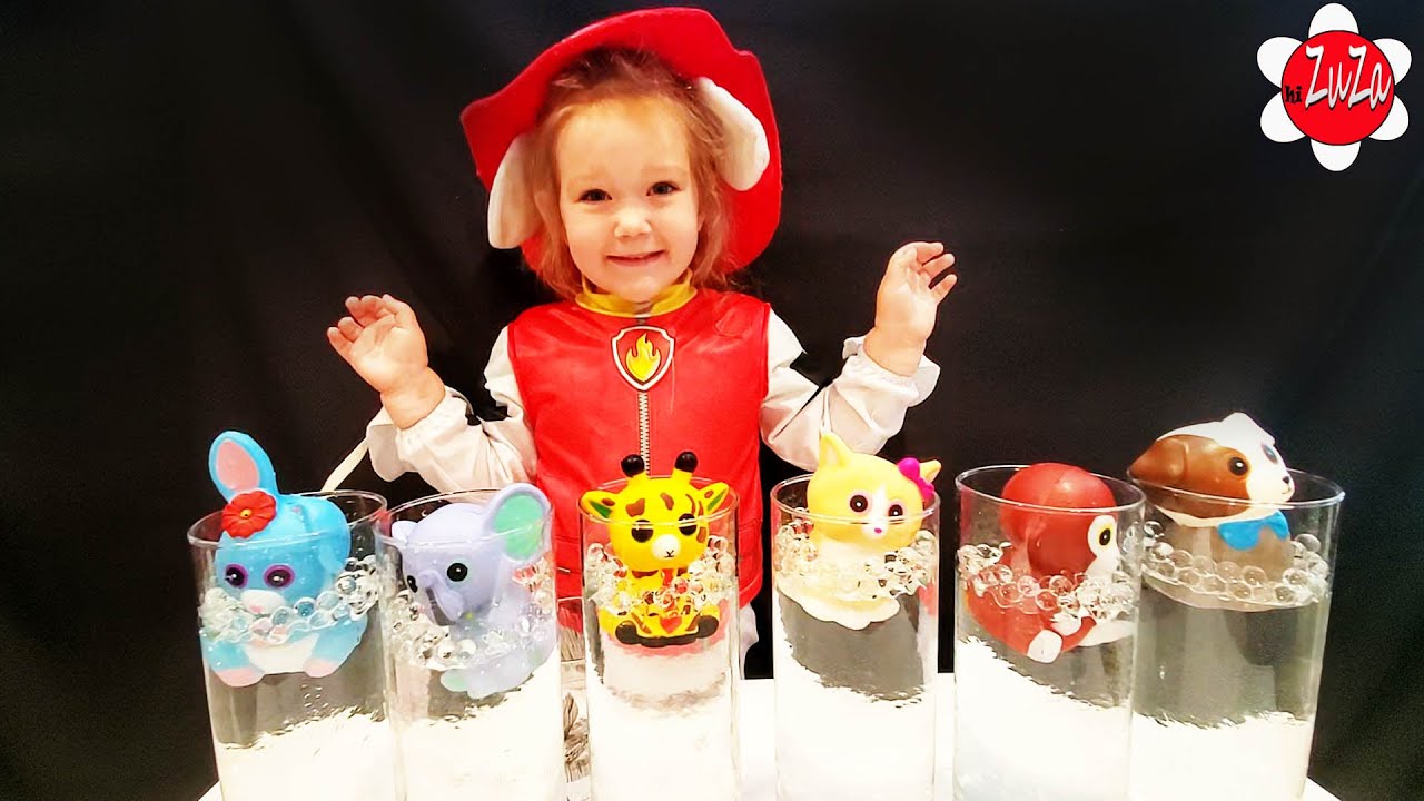 Magic Orbeez Surprise Squishy Animal Toy Reveal With Zuza