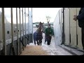 International Travel for Our Horses