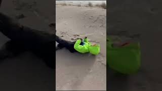 Having Fun with Sand Dunes 😄#shortsyoutube #fun #kids #sand #dune