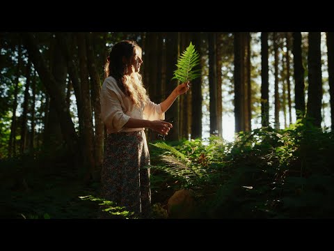 Blackmagic PYXIS 12K with Florent Piovesan and Thomas Teissier