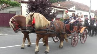 Parada Cailor Dinainte De Festivalul Ecvestru De La Rasnov - 2014