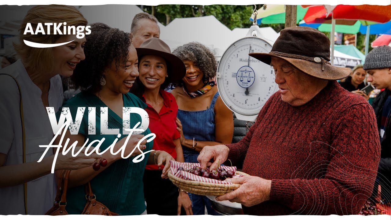 AAT Kings | Wild Awaits