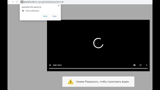 Pushark.info fake alerts - how to block? screenshot 4