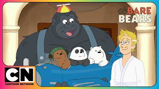 bears new family adventure gets complicated