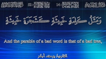 يوسف أبكر - {ألم تر كيف ضرب الله مثلاً...} سورة إبراهيم | Yusuf Abkar - Surah Ibrahim