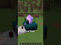 Faire UNE ENTRÉE SECRÈTE Avec DES ALGUES Minecraftshorts Kono Humour Astuce Secret mp3