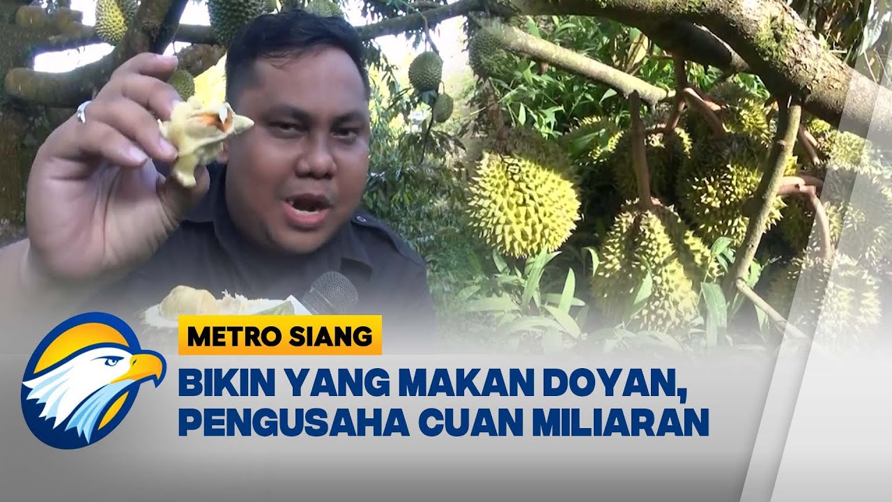 Durian Musang King Indonesia Gak Kalah Saing | Metro Siang