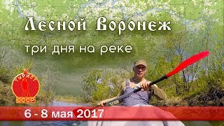 Лесной Воронеж. Три дня на реке.