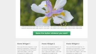 Responsive WordPress Theme \