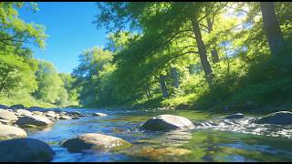 English Summer River in the woods. Relax, read and falls asleep. Listen to the sound of the river