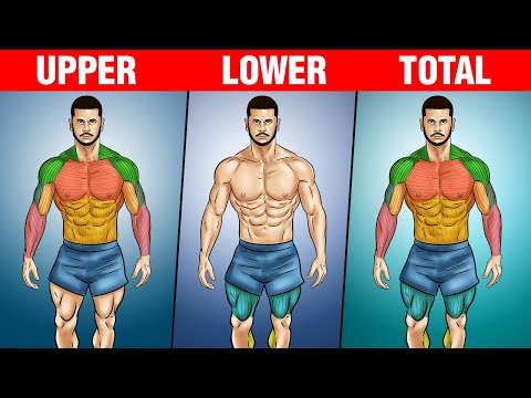 Top 3 Workout Splits for Muscle Growth (science-based)
