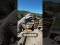 成千上万的蜜蜂在家中 Bee 蜜蜂 成千上万的蜜蜂在家中 Bee 蜜蜂
