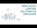 Wine Cellar Lighting Masterpiece – Best Lighting Solutions for Wine Cellars in Vancouver