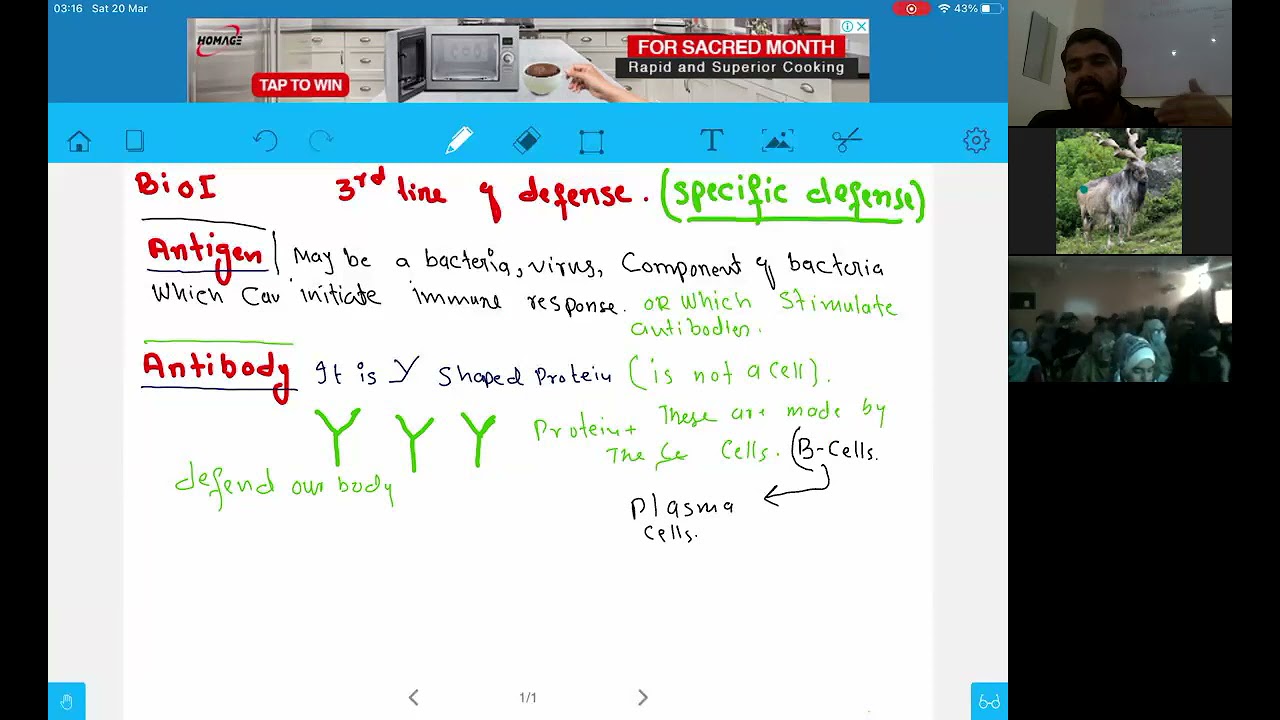 L-5 Third line of defense  Cell mediated immunity and antibody mediated immunity Humoral immunity